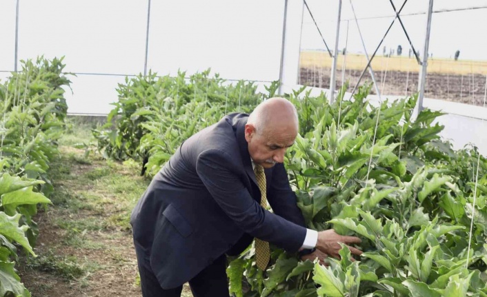 Bakan Kirişci: “Yılın ilk 8 ayında tarım ürünleri ihracatımız 21,5 milyar dolar”