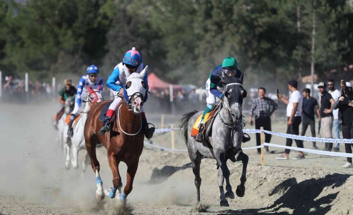 Pırlanta Pirinç Festivali’nde at yarışları nefes kesti