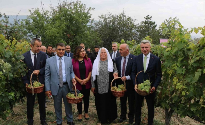 Safranbolu’nun yerel ürünü ’çavuş üzümü’ne coğrafi işaret