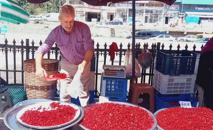 Tezgahlarda yerini aldı! 20 liradan satılıyor