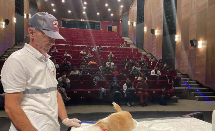 Veteriner hekimlerinden uygulamalı ‘Sokak Hayvanları Koruma Görevlisi’ eğitimi