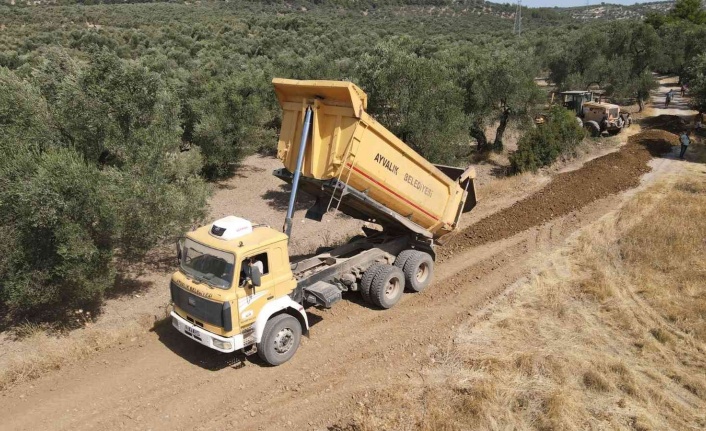 Zeytinlikler arası yollar hasada hazır