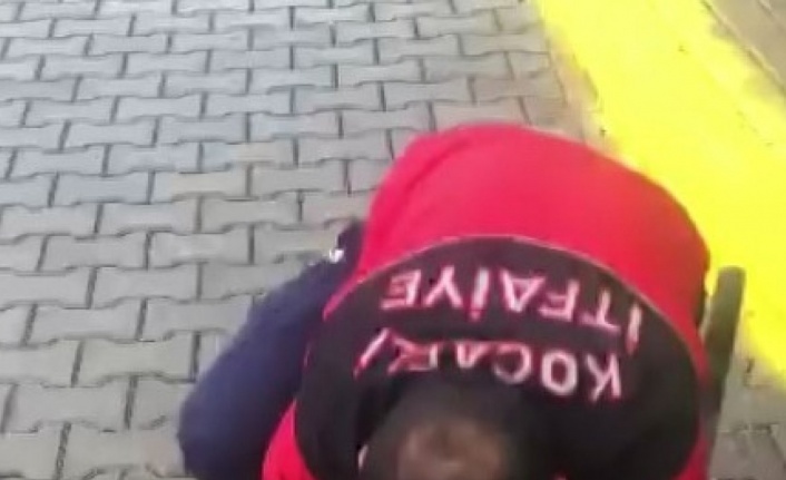 İlkokul öğrencisinin dikkati 4 yavru kediyi ölümden kurtardı