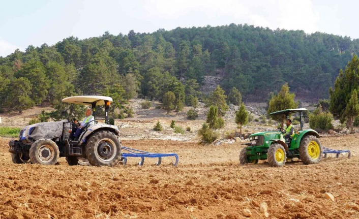 Ücretsiz tohum ve ekimle Toroslar’da boş tarlalar üretime katılıyor