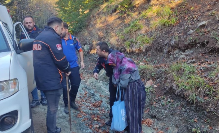 Yeğeniyle mantar toplamaya giden yaşlı kadın ormanda kayboldu