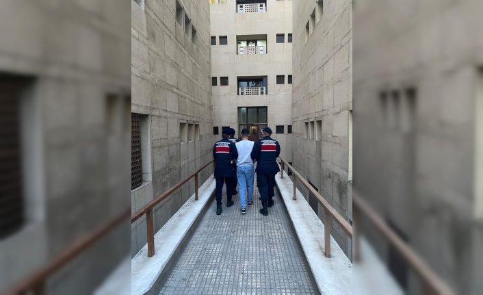 Jandarma 13 yıl kesinleşmiş hapis cezası olan şahsı kıskıvrak yakaladı