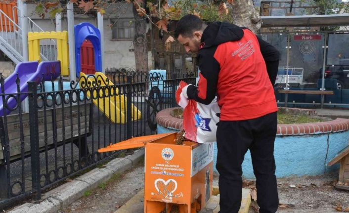 Sokaktaki canlar mamaya kolayca ulaşıyor