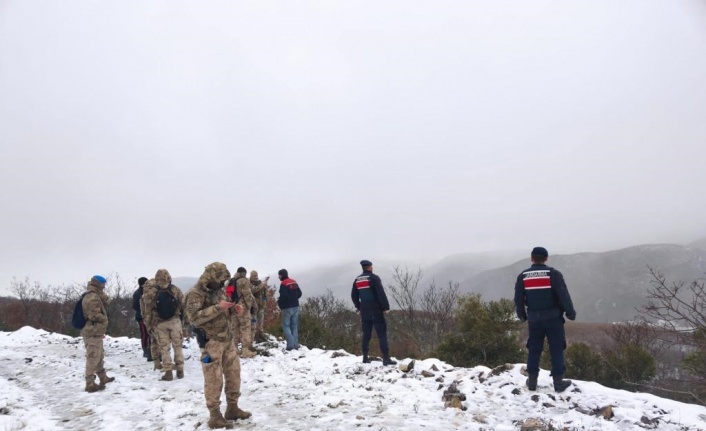 7 büyükbaş hayvanını kaybeden vatandaşın yardımına jandarma yetişti