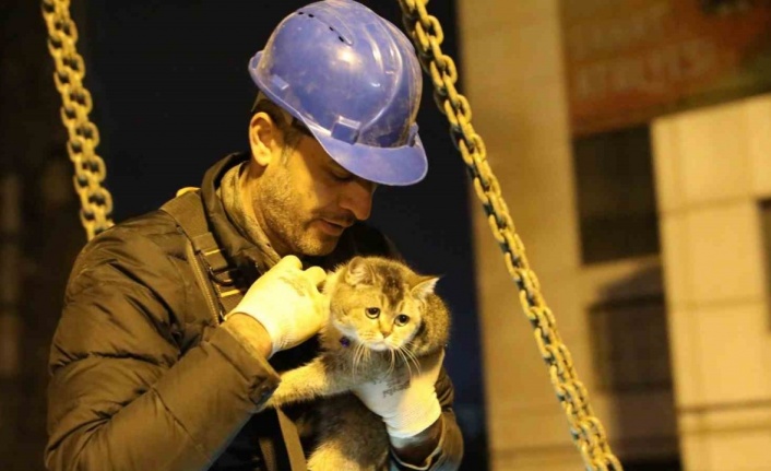 Bina enkazının yıkımı durduruldu, "Zena" isimli kedi kurtarıldı