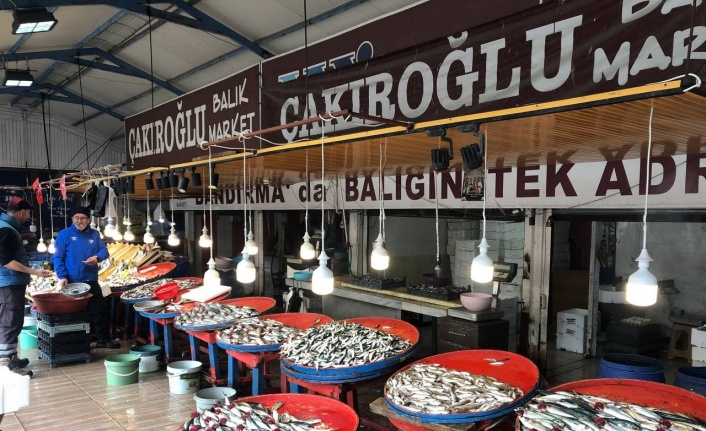 Marmara’da hamsinin zayıf kalması fiyatlara yansıdı