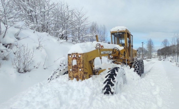 Ordu’da karla kapanan 197 mahalle yolu ulaşıma açıldı