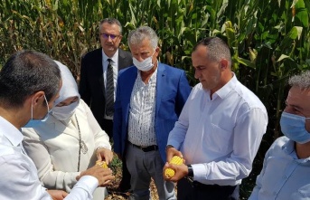 Mısır üretiminde nöbetleşme sorunu bir yıl daha ertelendi