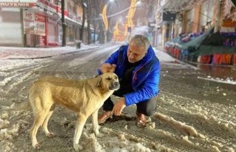 Hendek Belediye Başkanı Babaoğlu'ndan Yoğun Kar Mesaisi