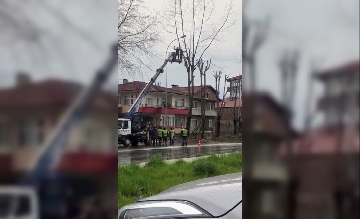 Ağaç Budayan İşçi Vinç Sepetinden Atlayarak Operatöre Saldırdı