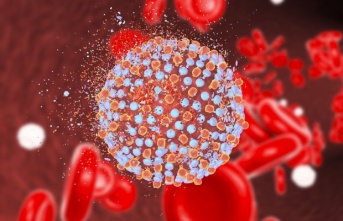 Her yıl 1 milyon kişi Hepatit B ve C’ye bağlı hayatını kaybediyor