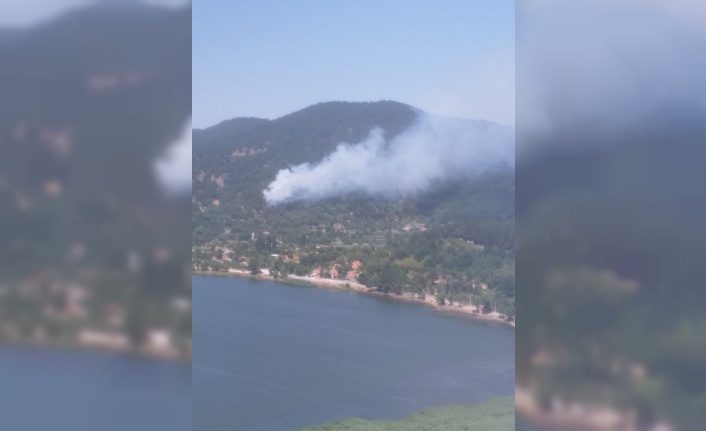 İzmir’de orman yangını