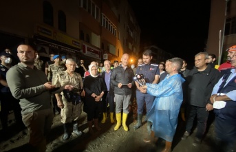 Bakan Soylu, Bozkurt ile ilgili konuştu