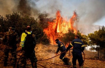 Fransa’da orman yangınları devam ediyor