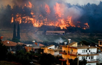Orman yangınlarında son durum: 161’i kontrol altında, 13 yangın devam ediyor