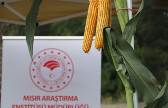 Sakarya'da geliştirilen yerli ve milli silajlık mısır “Aga“ tanıtıldı