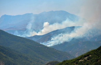 Türkiye genelinde yaşanan 6 orman yangını kontrol altına alındı
