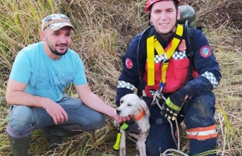 Leydi’nin imdadına Sakarya Büyükşehir İtfaiyesi yetişti