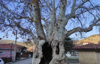 Sakarya’nın Taraklı ilçesinde Osmanlı’dan günümüze 700 yıllık tarih