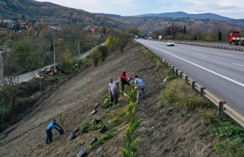 Sapanca'da ses perdesi projesinde çalışmalara başlandı