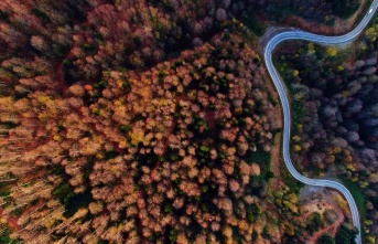 Sakarya'nın güzelliği ve sonbaharın doğaya yansıyan tonları büyüledi!