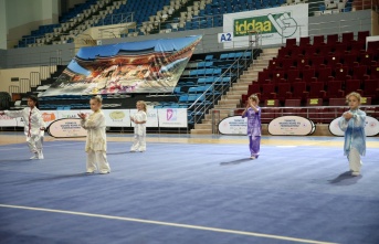 Wushu Tai Chi Türkiye Şampiyonası Sakarya'da başladı