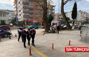 Bakıcılık yaptığı villadan bir milyonluk döviz çaldı