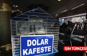 Doları kafese koydu, alışverişlerinde kuru 8 liraya sabitledi