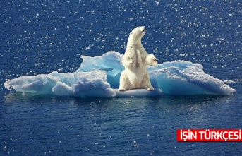 Kuzey Kutbu’ndaki sıcaklık 18 derece daha artarak rekor kırdı