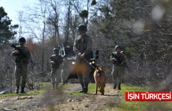 Sınırda PKK/KCK üyesi 3 kişi yakalandı