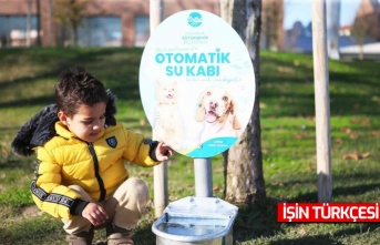 Sokak hayvanları için şehrin dört bir yanında ‘otomatik suluk’ sistemi devreye alındı