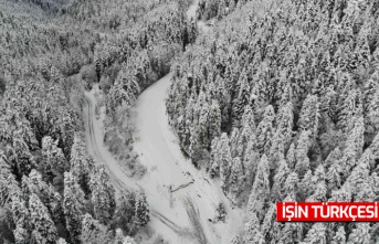 Yedigöller Milli Parkı yolu ulaşıma kapatıldı