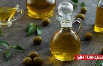 Zeytin çekirdeğinden yakıt üretildi