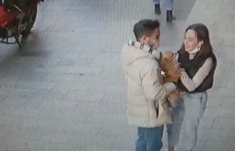 Kağıthane'de sever gibi yapıp 3 bin dolarlık "Badem" köpeği çaldılar