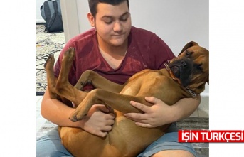 Otizmli gencin köpeğini pitbull zannederek silahla vurdu