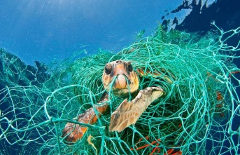 Plastik kirliliği, küresel ısınma kadar tehlikeli