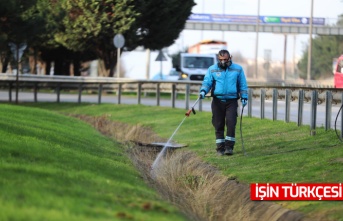 Şehir genelinde ilaçlama, mıntıka ve çevre temizliği sürüyor