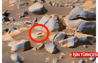 Mars'ta yaşam izi var diyen uzman isim paylaştığı fotoğrafla şaşırttı