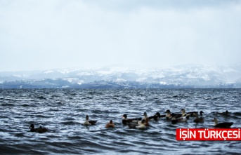 Sapanca Gölü seviyesi 7 yılın zirvesine ulaştı