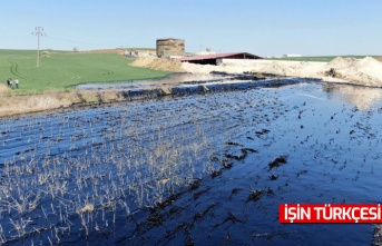 Zift deposu patlayan şirketin çalışmasına ara verildi