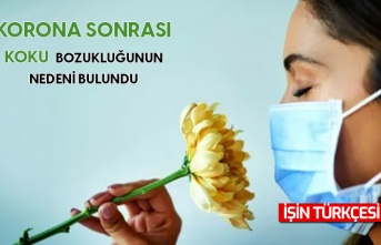 Covid-19 sonrası yaşanan koku bozukluğunun nedeni bulundu