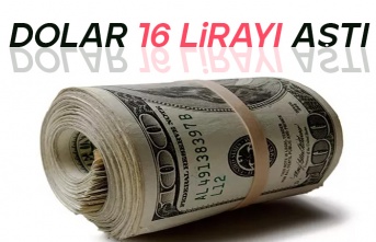 Dolar/TL kuru 16 lirayı aştı: Yılbaşından bu yana yüzde 20 değer kazandı