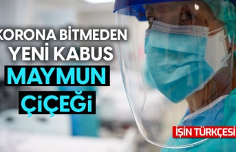 Maymun çiçeği virüsü yayılıyor!