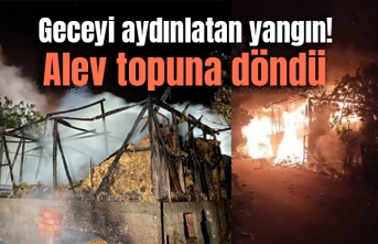 Geceyi aydınlatan yangın! Alev topuna döndü