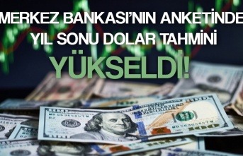 Merkez Bankası'nın anketinde yıl sonu dolar tahmini yükseldi!