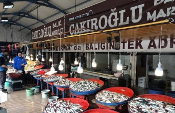 Marmara’da hamsinin zayıf kalması fiyatlara yansıdı